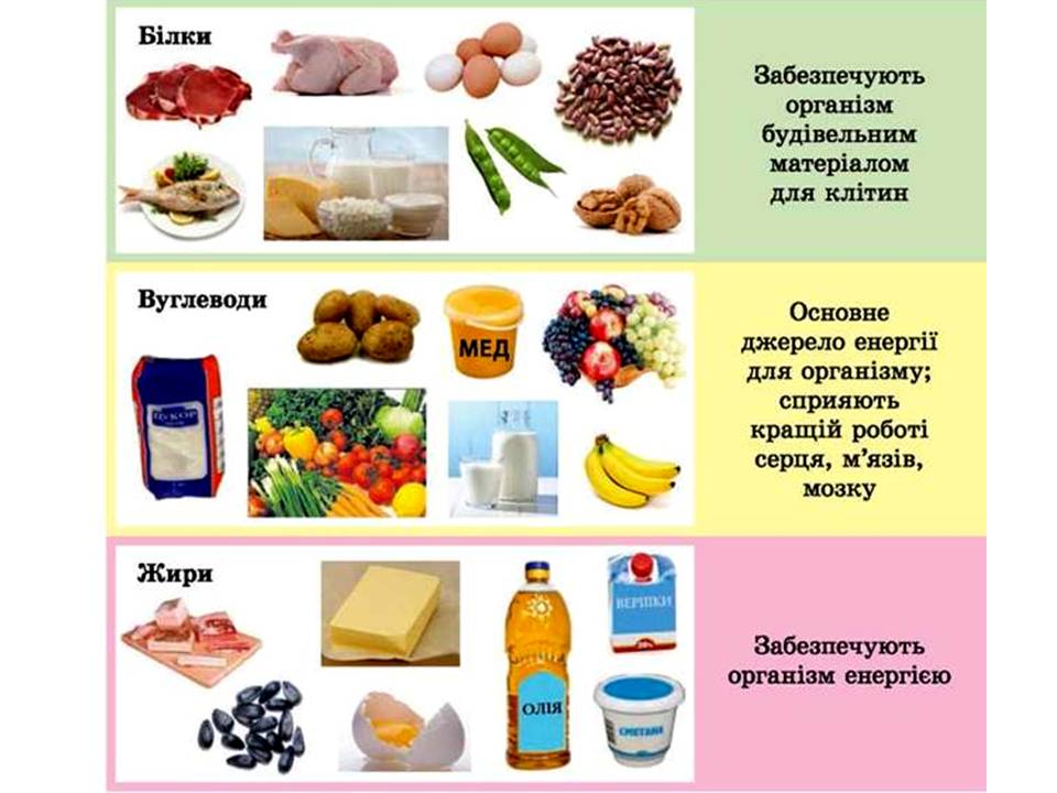 источники энергии.jpg